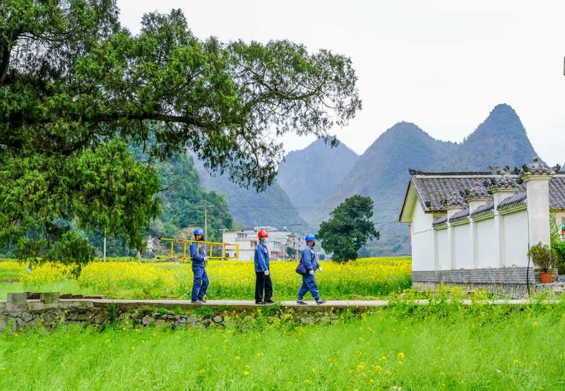 平塘供電局：“網(wǎng)格化”服務(wù)，護航“菜籃子”