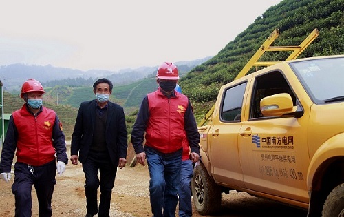 平塘供電局：“加減法”同構(gòu)服務(wù)，護航“貴州春茶第一壺”