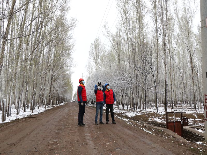 國(guó)網(wǎng)伊犁伊河供電公司四月飛雪，電力員工巡視線路保供電