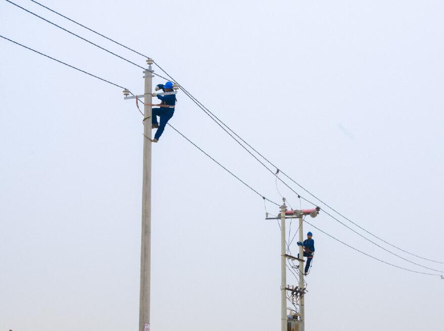 阿拉善供電公司：電網(wǎng)健康“體檢”，從登桿開始