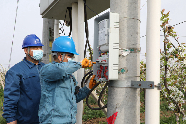 國網(wǎng)諸城市供電公司電力足，千畝梨園花正濃
