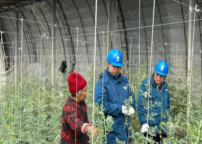 山東惠民供電公司：走訪種植大棚，優(yōu)化農(nóng)業(yè)營商環(huán)境