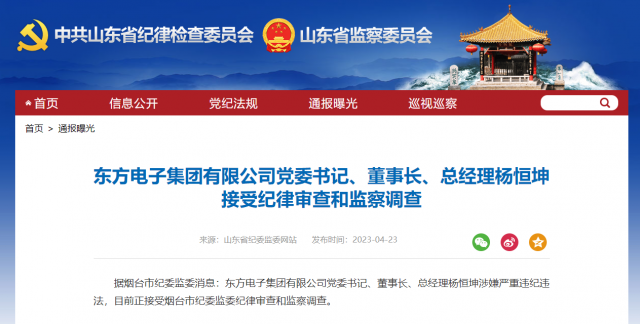 東方電子集團(tuán)有限公司黨委書記、董事長(zhǎng)、總經(jīng)理?xiàng)詈憷け徊椋? width=
