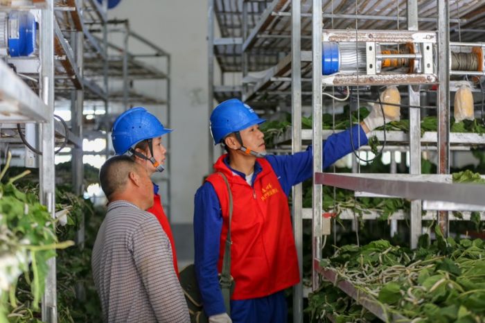 國網涼山供電公司優(yōu)質電力服務 助力寧南蠶農增收致富