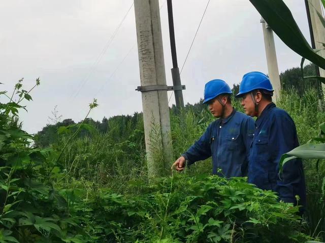 國網(wǎng)長春供電公司積極應(yīng)對極端天氣，確保線路設(shè)備穩(wěn)定運行