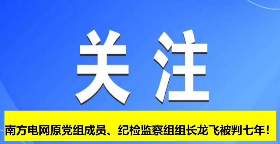 南方電網(wǎng)原黨組成員、紀檢監(jiān)察組組長龍飛被判